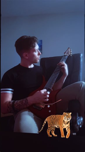 Exploring the Magic of Polyphia and Cuco's Music