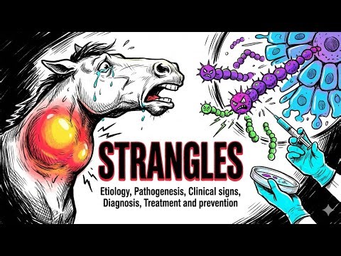 Strangles (Equine Distemper) in Horses | Clinical Signs, Diagnosis, Treatment | ICAR PG | VO Exam