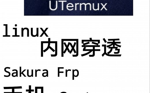 魔改版Utermux内网穿透与安装centos教程（详细）