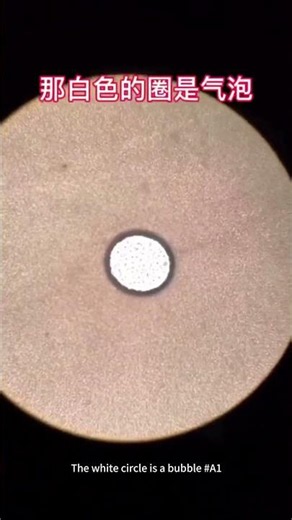 #microscope #magnification