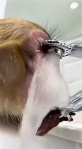 Hilarious Soap Mistake! 😂