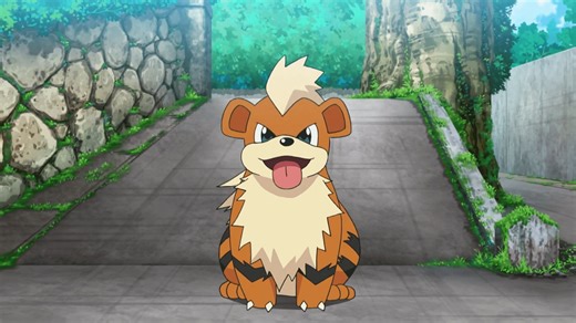Can you catch a Shiny Growlithe in Pokemon GO?