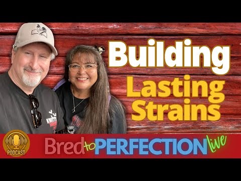 Ep186 – Building a True Strain: The Long Game of Creating a Consistent and Lasting Line