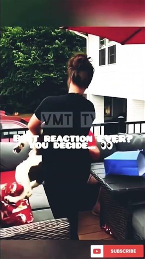 #DogSurprise 🐶 Heartwarming Pet Reunions #CuteDogs