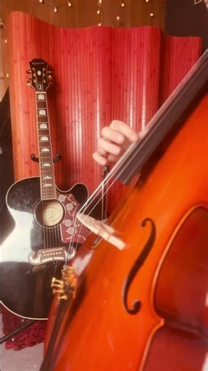 “Learning Cello at My Age… Wish Me Luck 🎻”