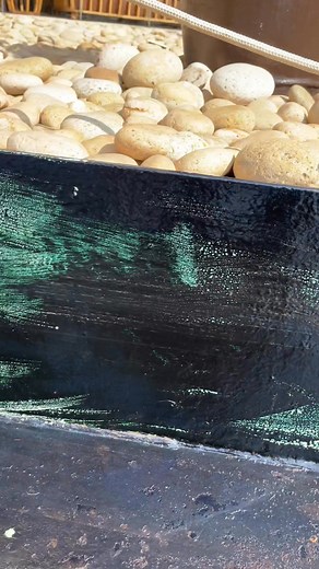 Aplicación de convertidor de óxido sobre metal #aplicaciones #Aplicaciones #convertidordeoxido | Emporio TV