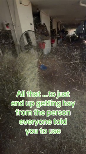 1K views · 117 reactions | Love referrals! Give us a call, send us a text, or get in my DMs we will take care of your hay needs! #haydaddy #performancehorses #horses #fyp #elhayguy | El Hay Guy | Facebook