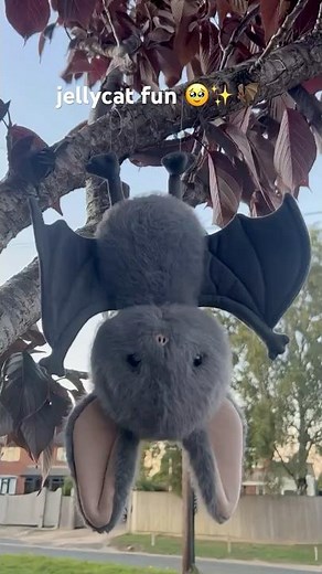 jellycat broox bat🎃🦇 #jellycat #jellycats #viral #shorts #fyp #foryou #trending #cute #blowup #fun