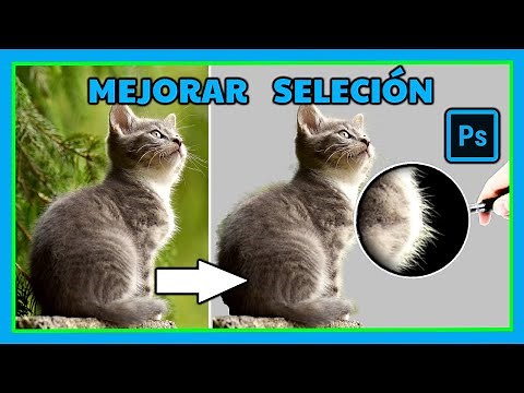 How to CROP a PICTURE in PHOTOSHOP / IMPROVE SELECTION