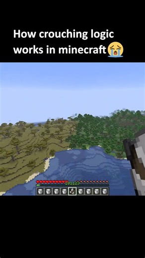 How crouching works in Minecraft #minecraft #minecraftmeme