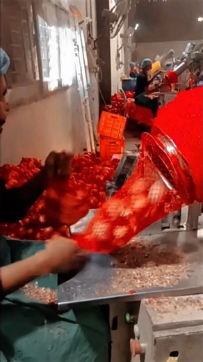 Red Onion Packaging Work Tool with Automatic Onion Packing Machine #worktool