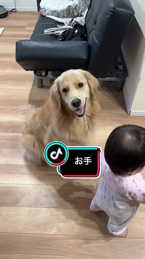 おすすめのアカウント