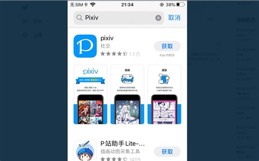 iOS如何登录P站(Pixiv)