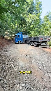 Masterful Truck Driving Through Forest Trails. #TruckSkills #NatureDrive #ForestJourney #MasterfulDriving #TruckAdventure | Doraya Jennings