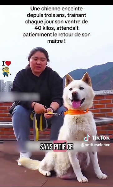 #tiktok #foryou #loveanimals #animaux #help #aider