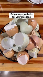 14K views · 95 reactions | How to prepare your egg shells for your chickens.  #chickens #chicken #poultry #backyardchickens #crazychickenlady #homesteadersofamerica #homesteaderlife #homesteadlife #homesteader #farmtotable #farming #countryliving #livestock | Hannah Easton | Facebook