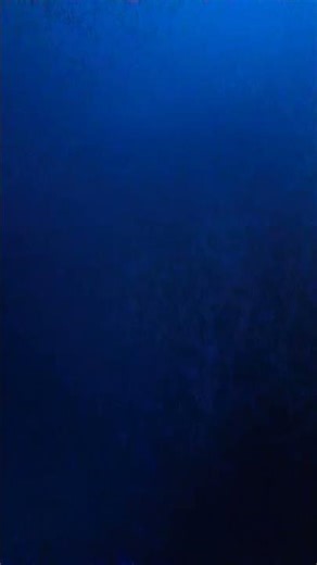 Flipagram roasts laugh sound