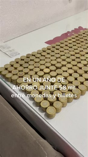 Savings Journey: Collecting a Year of Coins and Bills