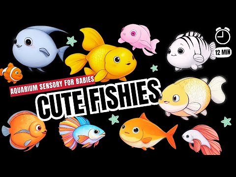Baby Sensory Aquarium | Relaxing Aquarium with Cute Fish 🐠 | Underwater Adventure