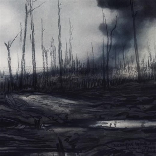 World War 1 Combat Strategies: Germany vs France