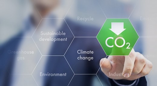 Clearing the air: Exploring the pathways of carbon removal technologies