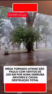 Harpp ativada em grau máximo em SP | Chemtralizados