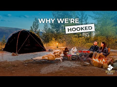 Camping With Dogs In The Wilderness | HUSKY SQUAD