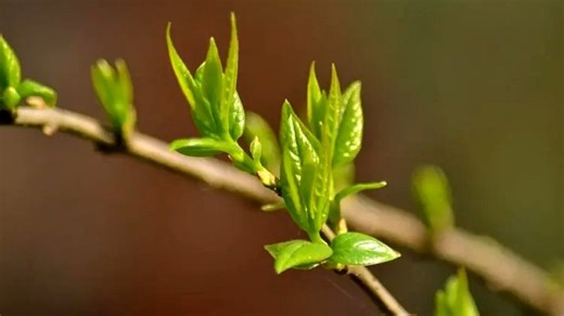 kaba防盗锁业(智能密码指纹锁)维修中心|24小时全国统一售后受理中心电话4000767098