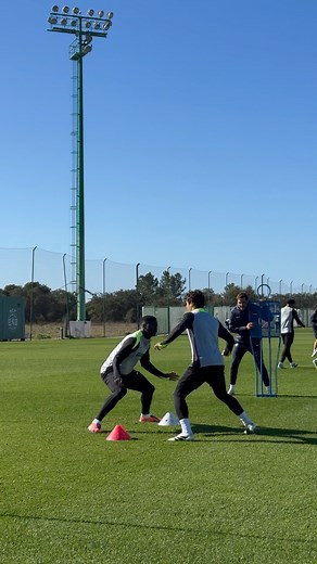 Manhã de preparação para a UEFA Champions League 🔜🌟 | Sporting CP