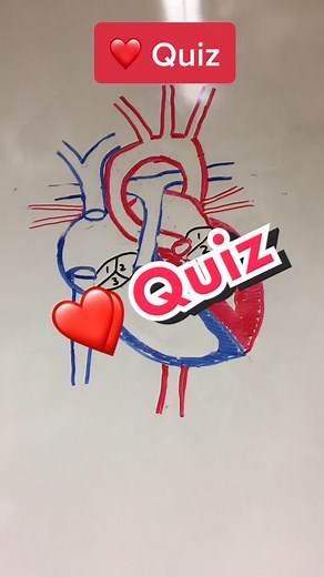 Michael Rhodes on TikTok