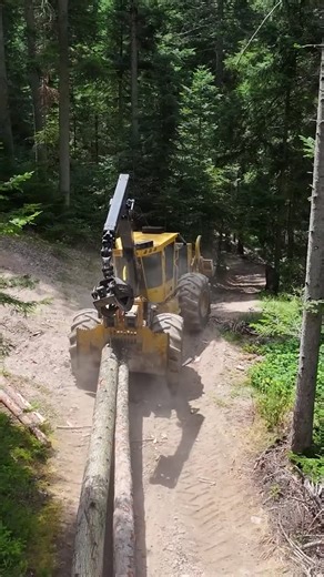 Tigercat Industries on Instagram: "TCi 612 dual winch skidder working in France. The 612 dual winch skidder is specially designed for high value extraction in tight selective felling applications in natural stands and steep terrain. Standard equipped front blade tongs and an optional crane increase versatility and functionality.⁠ ⁠ @cuoqforestdiffusion⁠ ⁠ ⁠#tigercat #tigercatmachines #tigercatforestry #tci #tcimachines #forestry #logging #heavyequipment #forestryequipment #timberharvest #skidder