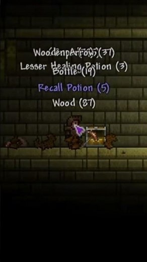 A Magic Carpet Ride! #terraria #terraria145 #terrarianews #terrariaupdate #terrariabiggerandboulder