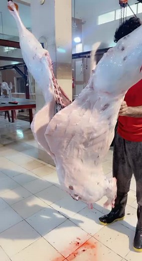 Handling Whole Pig Meat in a Kitchen Setting