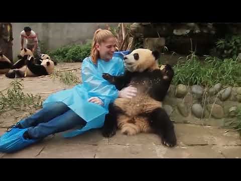 10 Cute Animals That Are Actually Deadly