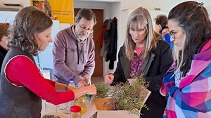 ¿Cómo hacer un repelente natural contra los mosquitos? | Neuquén Al Instante | Periodismo Digital en la Patagonia