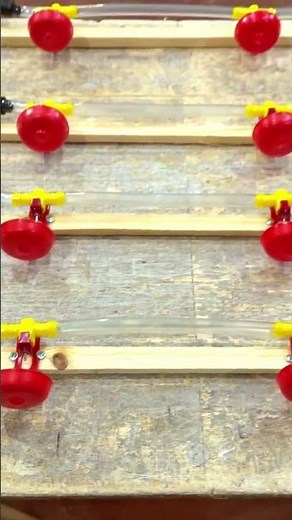 DIY 4-tier quail cage #diy #woodscraft #birds