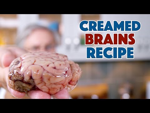 Brains! We Cooked & Ate Creamed Brains!!