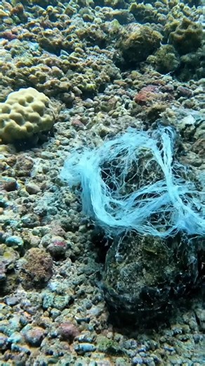 Essential Survival Skills: Unhooking Fish Safely