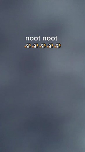 noot noot noot noot noot nootnoot noot noot noot 🐧🐧🐧🐧🐧🐧🐧🐧🐧🐧🐧🐧🐧🐧🐧🐧🐧🐧🐧🐧🐧🐧🐧🐧🐧🐧🐧🐧🐧🐧🐧🐧🐧🐧🐧🐧🐧🐧🐧🐧🐧🐧🐧🐧🐧🐧🐧🐧🐧🐧🐧🐧🐧🐧🐧🐧🐧🐧🐧🐧🐧🐧🐧🐧🐧🐧🐧🐧🐧🐧🐧🐧🐧🐧🐧🐧🐧🐧🐧🐧