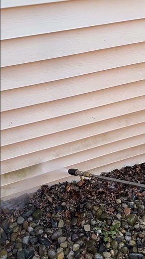 Green Mold vs. Soft Wash 💚➡️🤍 Vinyl Siding Cleaning Close-Up #satisfying #softwash #powerwashing