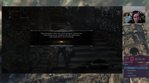 Hitless Speedruns All Bosses | !wiki !guide