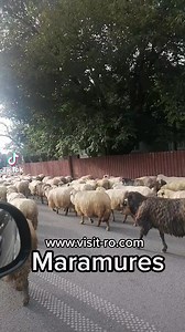 Maramures | visit-ro.com