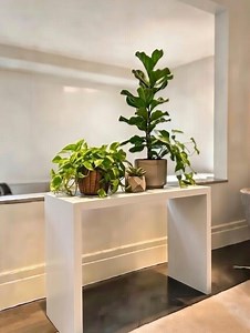 Solid Oak Waterfall Console Table, Modern Entryway Table, Hall Table or Sofa Table - Etsy