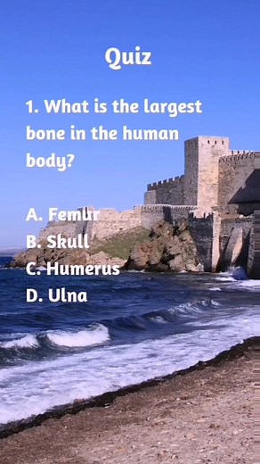 21K views · 415 reactions | Quiz Number 692 Dive into the endless depths of knowledge and discover fascinating facts for the day with our daily Quiz Time challenge! #factsfortheday #reelsfb #reelsviral #education #pubquiz #fyp #knowledge #facts #quiz #QuizTime #Quizzes #trivia #TriviaTime #factsdaily #factsonly #fact #factsoflife #quiz #randomfacts | Mindbreaker Mayhem | Facebook