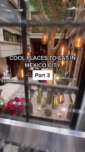 Rooftop Views of Zócalo Mexico City