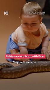 Scientifically it shows that babies/children learn emotions like fear by watching how adults react in these situations. So message can be on these same lines. That your child learns how to react, by looking at how you deal with situations. So be mindful of how you’re reacting in front of the child. #parenting #parentingtips | Babynama