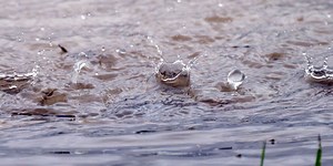 How do you measure precipitation?