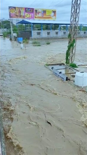 Bandra Worli Sea Link Bridge opens, Marine Drive in 10 minutes, a big gift for Mumbai Coastal Road.