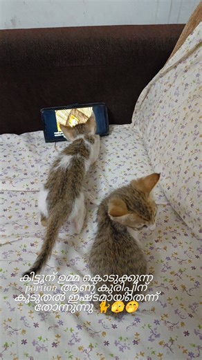 Pecola Lola Belle on Instagram