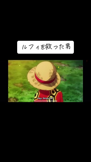 ワンピース ルフィを救った男 #ワンピース#onepiece #ルフィ#マルコ